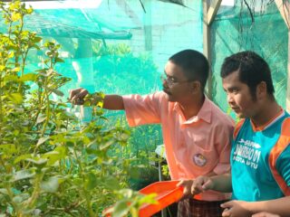 Pembelajaran Vokasional Budidaya Tanaman Bayam Brazil Melalui Media Hidroponik Di SLB Eka Mandiri Kota Batu